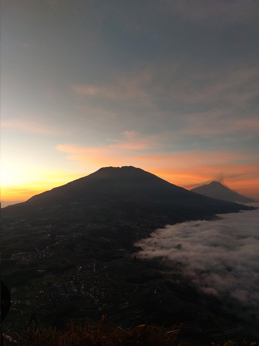 Smolnami tweet media