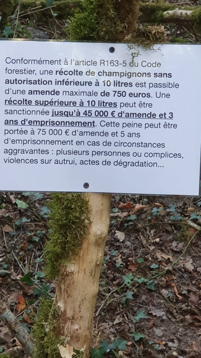 Laurent Gasc tweet media