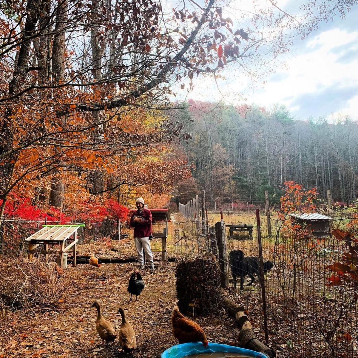 “Fall on the farm is a deep breath with a long slow exhale. Such relief after the bustle of spring and the steady drive of summer …

What a lovely way to revel in the season of transition as we make our way towards winter.” 🍁
