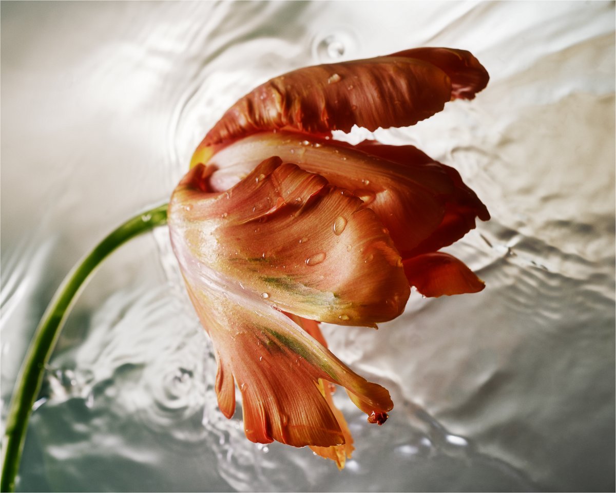 CARTEL and Co. tweet media