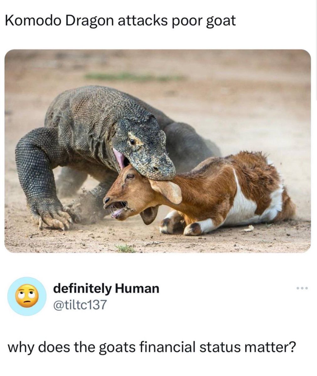 InternetH0F's tweet image. 