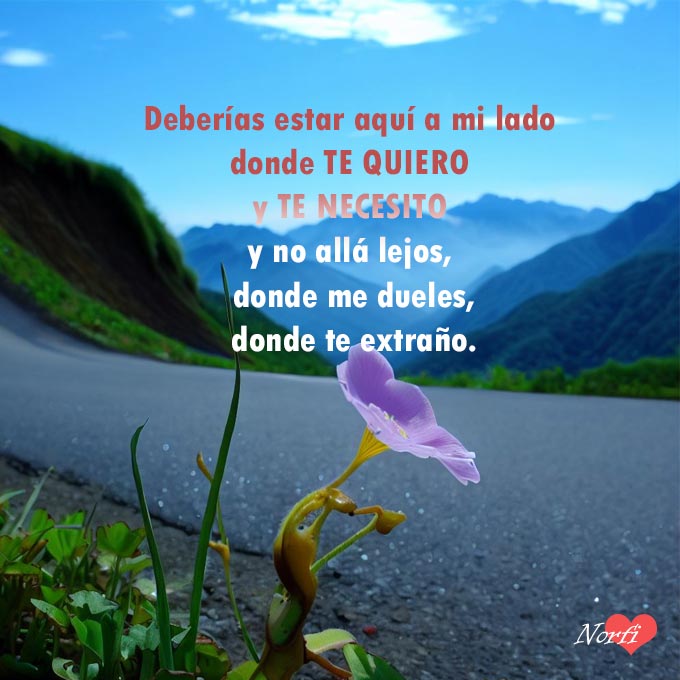 FrasesNorfiPC's tweet image. Deberías estar aquí a mi lado donde te quiero y te necesito y no allá lejos, donde me dueles, donde te extraño.
norfipc.com/facebook/frase…
#teextraño
#separados
#separacion