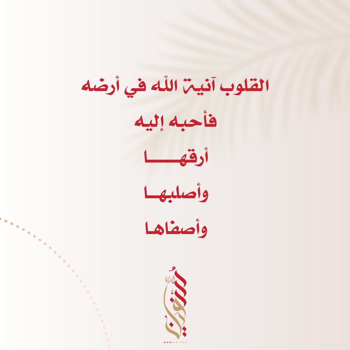 elgraoui's tweet photo. اللهم ارزقنا رقّة القلب وصلابته وصفائه ❤️ https://t.co/sru9owvgnB