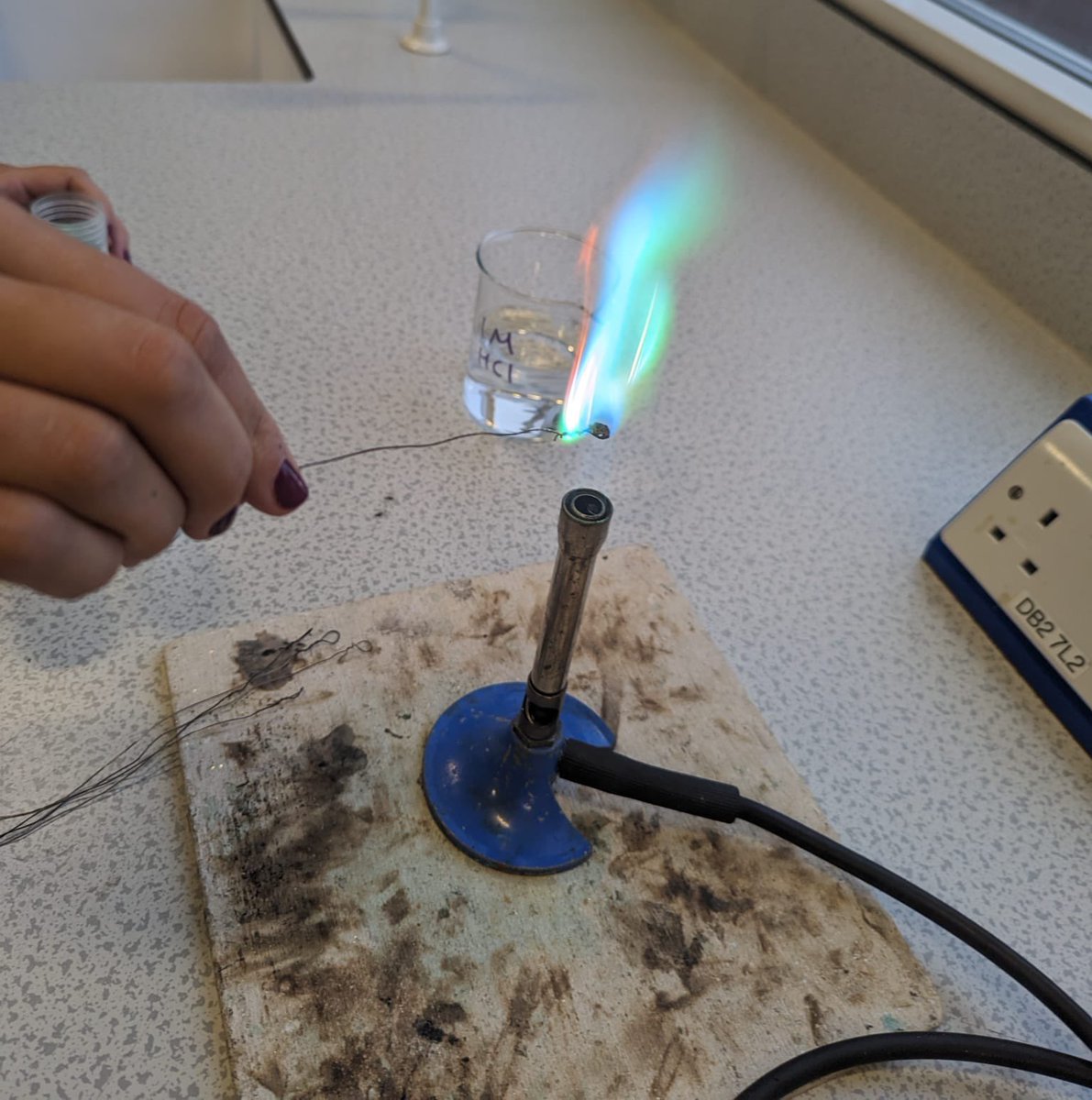 HGSA Science tweet media