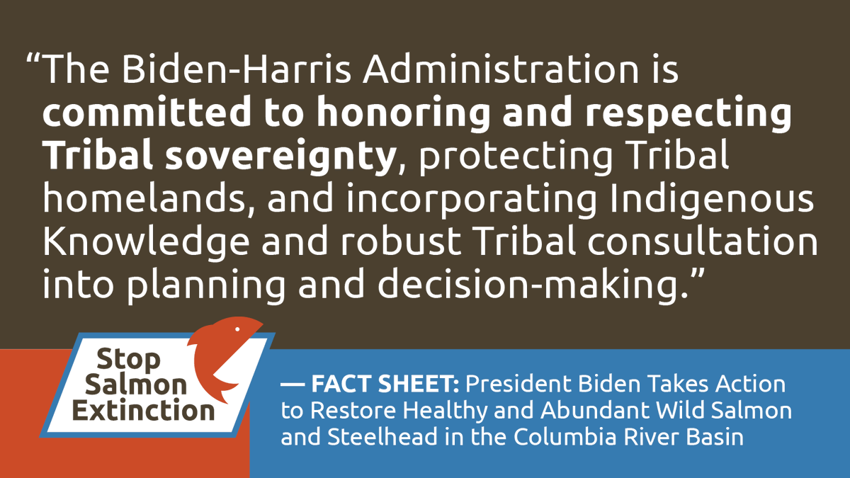 Washington Wild tweet media