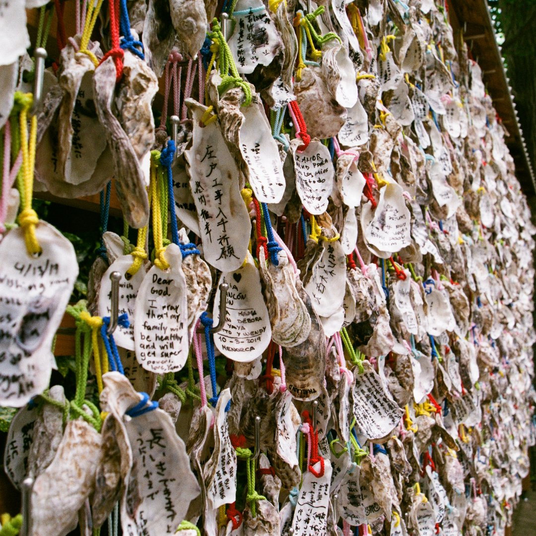 🌸 Immerse yourself in the natural beauty and spirituality of Japan with Kakigara-inari (oyster shell shrine)! 🇯🇵 Legend has it that oysters attached themselves to the Kannon lost at sea to help guide it back to shore. You can buy an oyster shell inside the main hall, write you