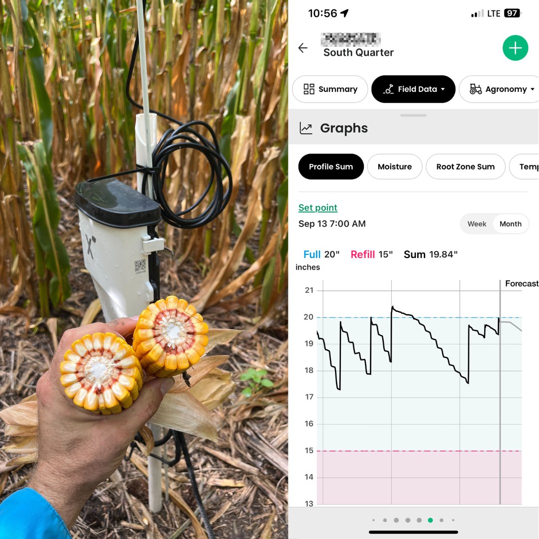 This #corn field is ready to have its CropX soil sensors extracted!

Conditions are muddy, and the milk line is 2/3 to 3/4. According to CropX soil sensors, water is more than sufficient in the profile, and it only needs an inch to mature.

#harvest2023 #myjobdependsonag
