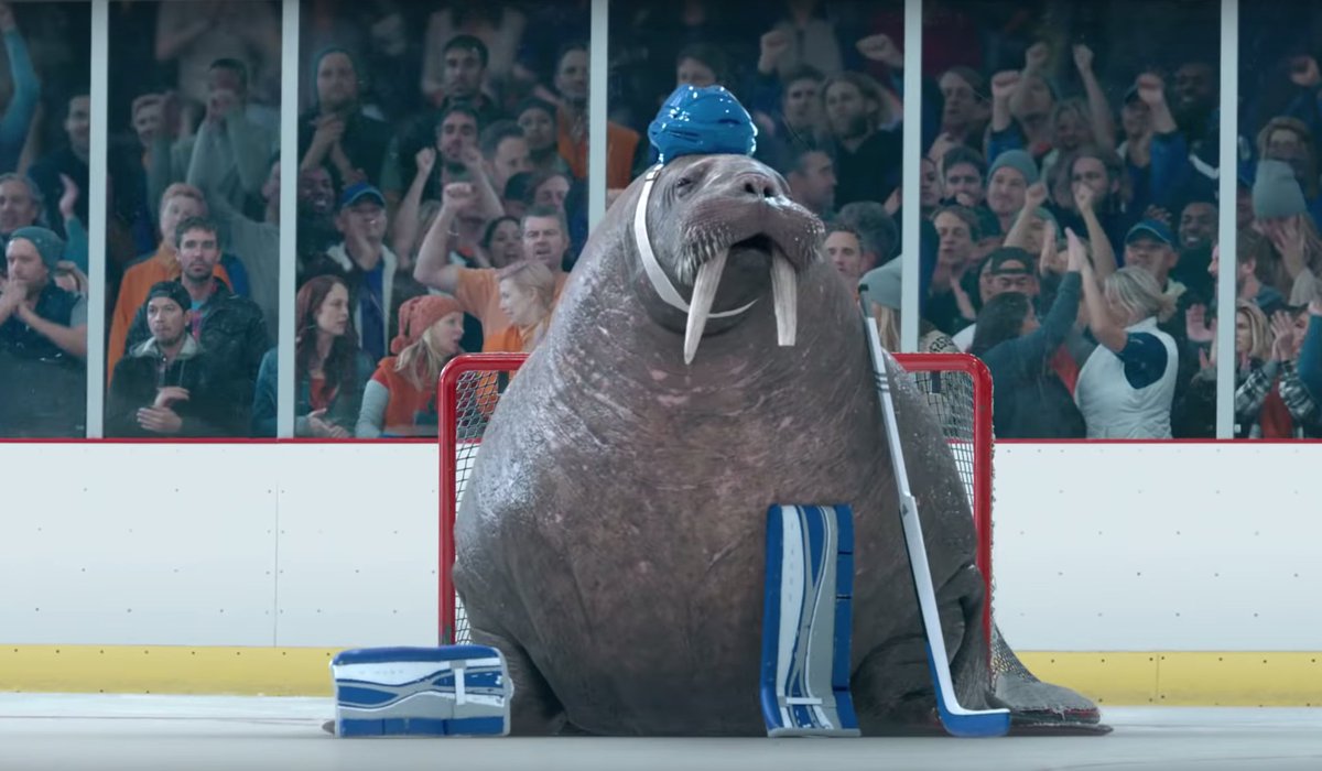 SinemRawr's tweet photo. BREAKING! The Tampa Bay Lightning have signed Walter the Walrus for their starting goalie position. 

#GoBolts https://t.co/Zc41jl3Pbu