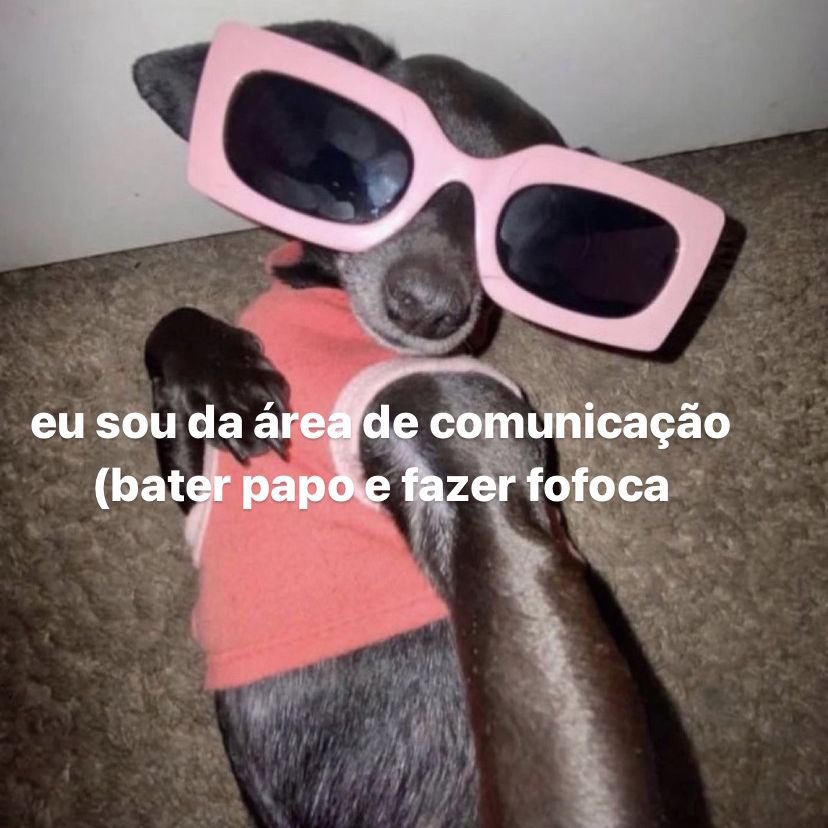 NazareAmarga's tweet photo. eu sou da área da comunicação https://t.co/pazW4KayI5