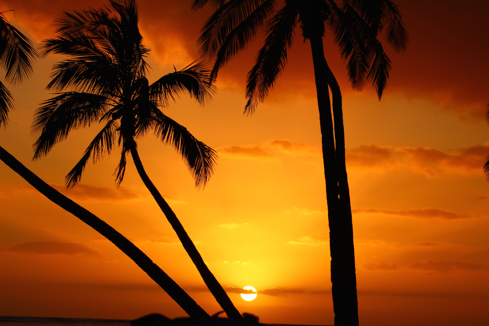 Molokai Outdoors MolokaiOutdoors Twitter Profile Sotwe