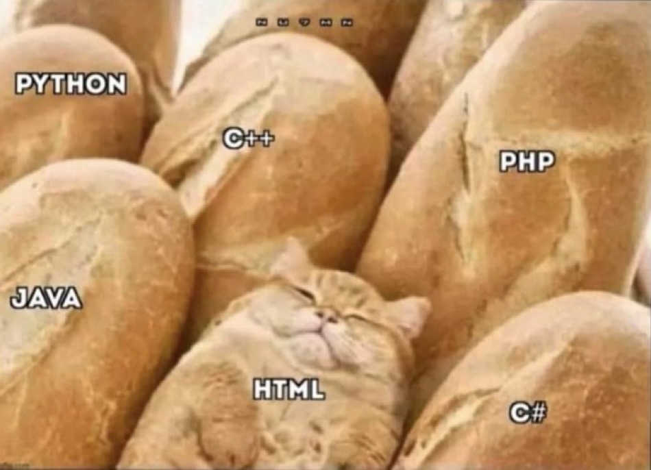 tom_antok's tweet image. HTML is not a programming language