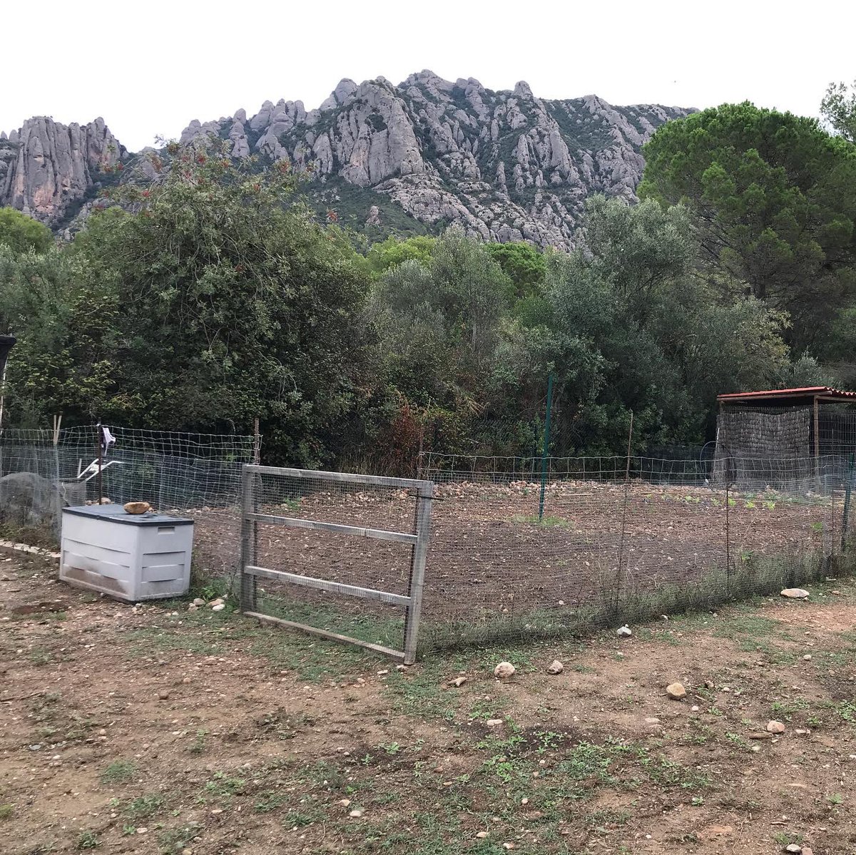 entrearbres's tweet image. 🥷🏼Amb tot això, comencem punt per punt a justificar a necessitat o no de les construccions, així com proposant millores per a la seva integració i/o adequació a la normativa per acabar aconseguint legalitzar els elements presents a la finca.

#legalitaturbanistica #solrustic