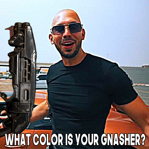 MantisHD | Steve tweet media