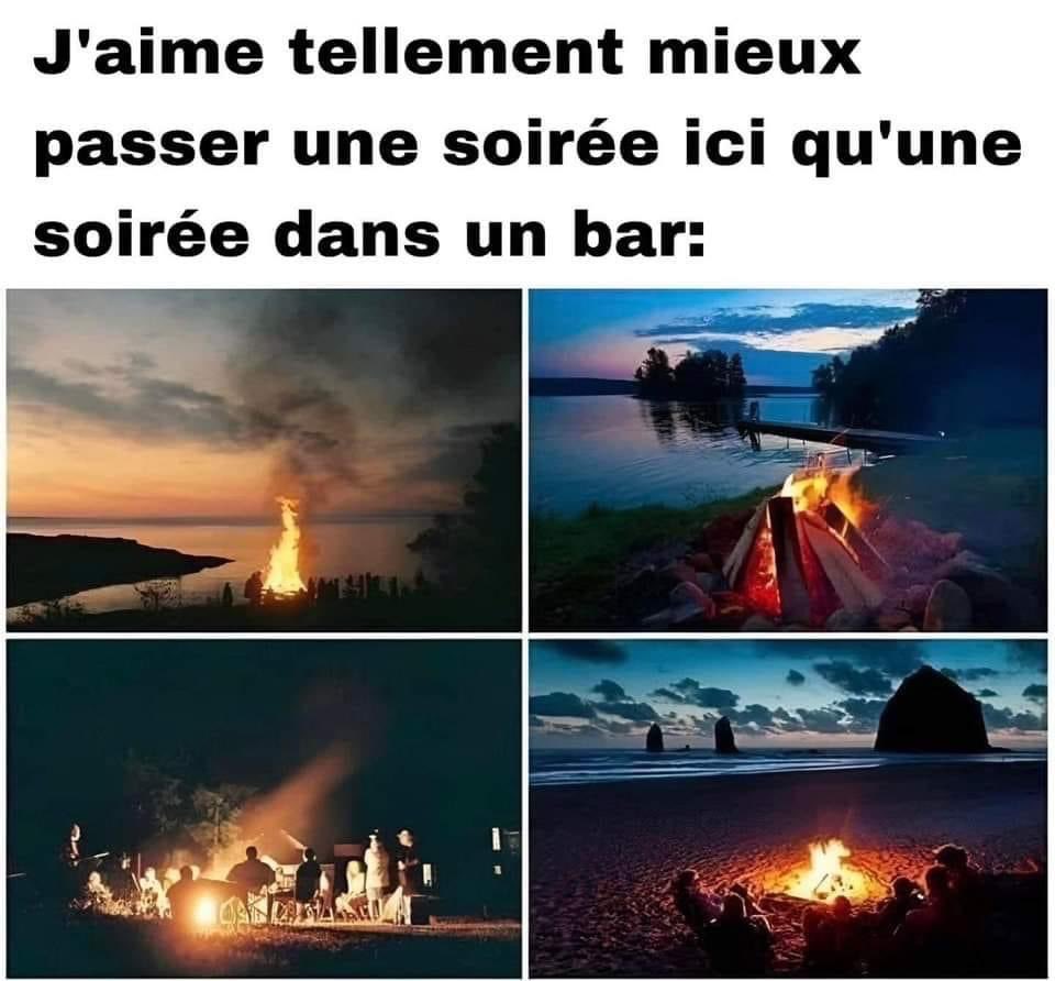 de Heyn Woeste C. tweet media