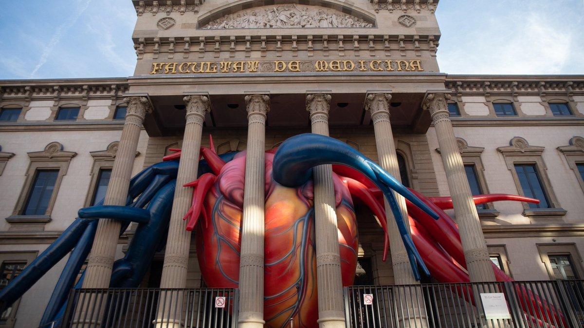 3CatInfo tweet media