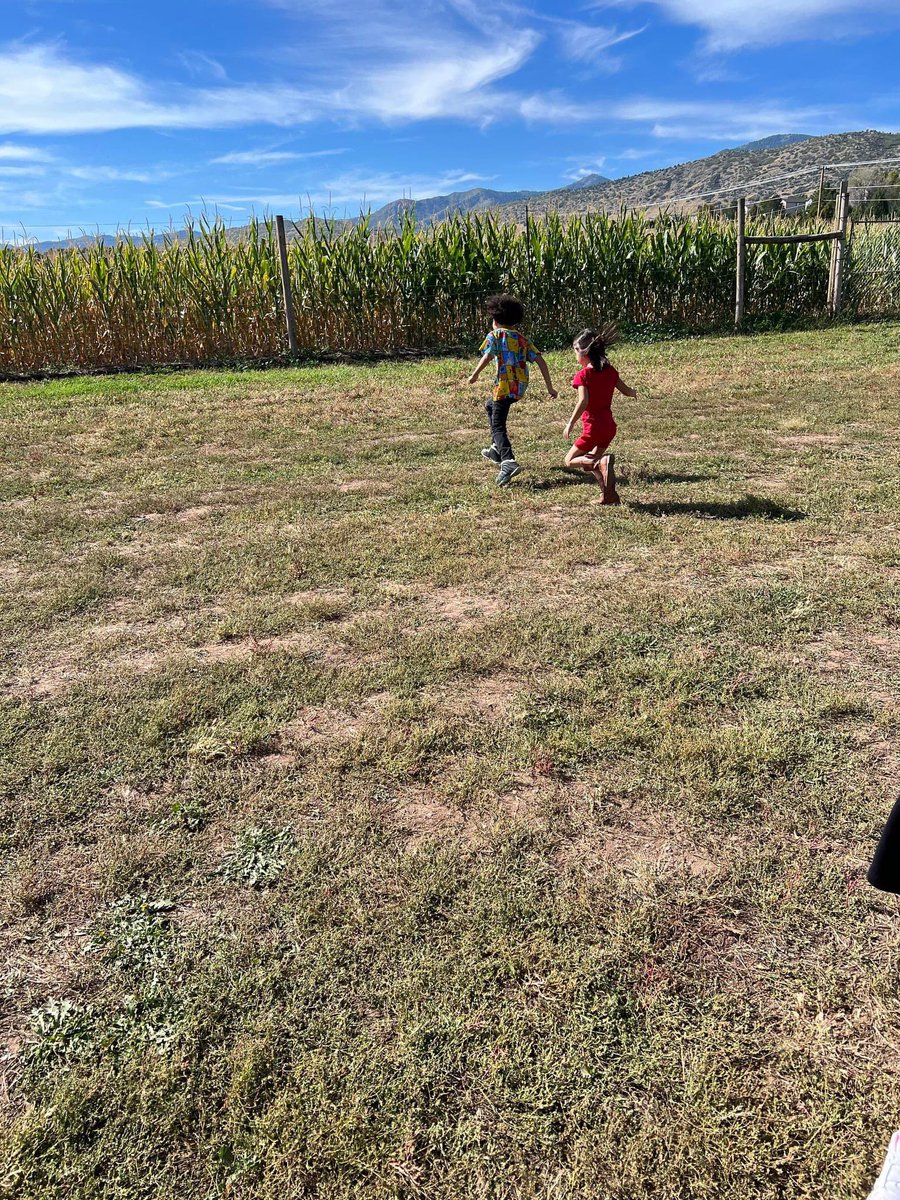 Rose Stein International tweet media