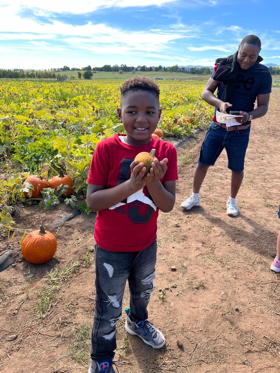 Rose Stein International tweet media