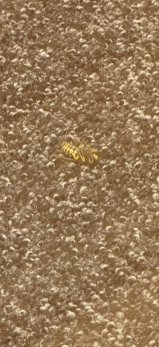 matt silver tweet media