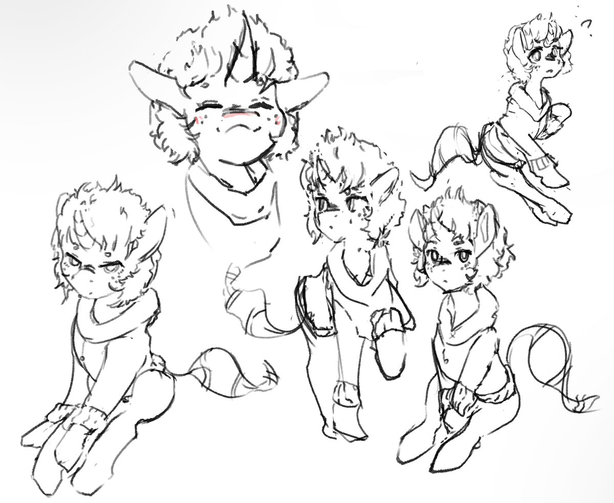 Karibela tweet media