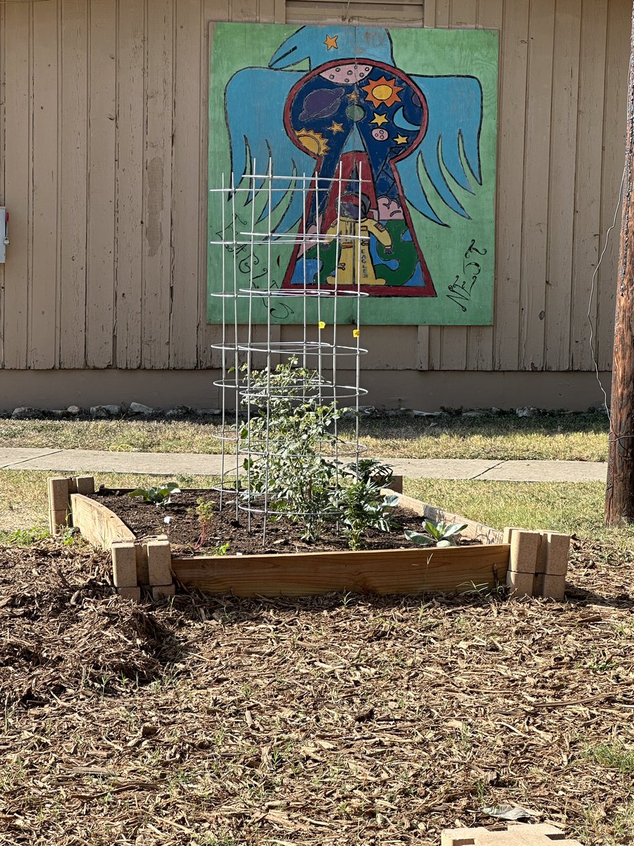 Ed White Science (@edwhitescience) on Twitter photo Ms. Keane’s Garden Club working hard to bring back those beautiful gardens. <a href="/edwhiteneisd/">Ed White MS</a> <a href="/NEISDFoundation/">North East Educational Foundation</a> Ms. Keane’s Garden Club working hard to bring back those beautiful gardens. <a href="/edwhiteneisd/">Ed White MS</a> <a href="/NEISDFoundation/">North East Educational Foundation</a>