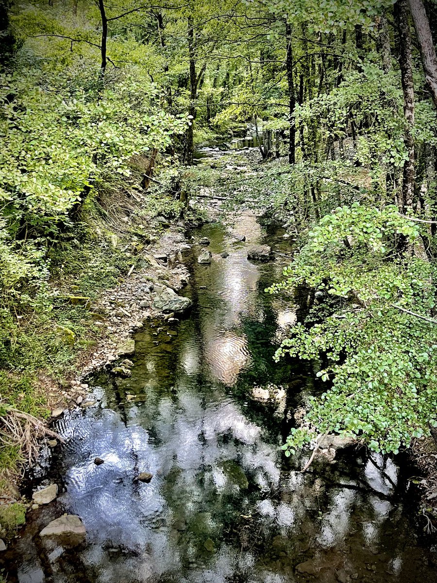 #Stupore_Lucano #basilicata #fiumesinni #nature #naturephotography #naturelovers #nature_good #naturel #natureza #nature_lovers #nature_brillance #nature_prefection #nature_photo #nature_cuties #naturephoto #natureshots #naturelover #naturepic #ignature #instanature #pollino