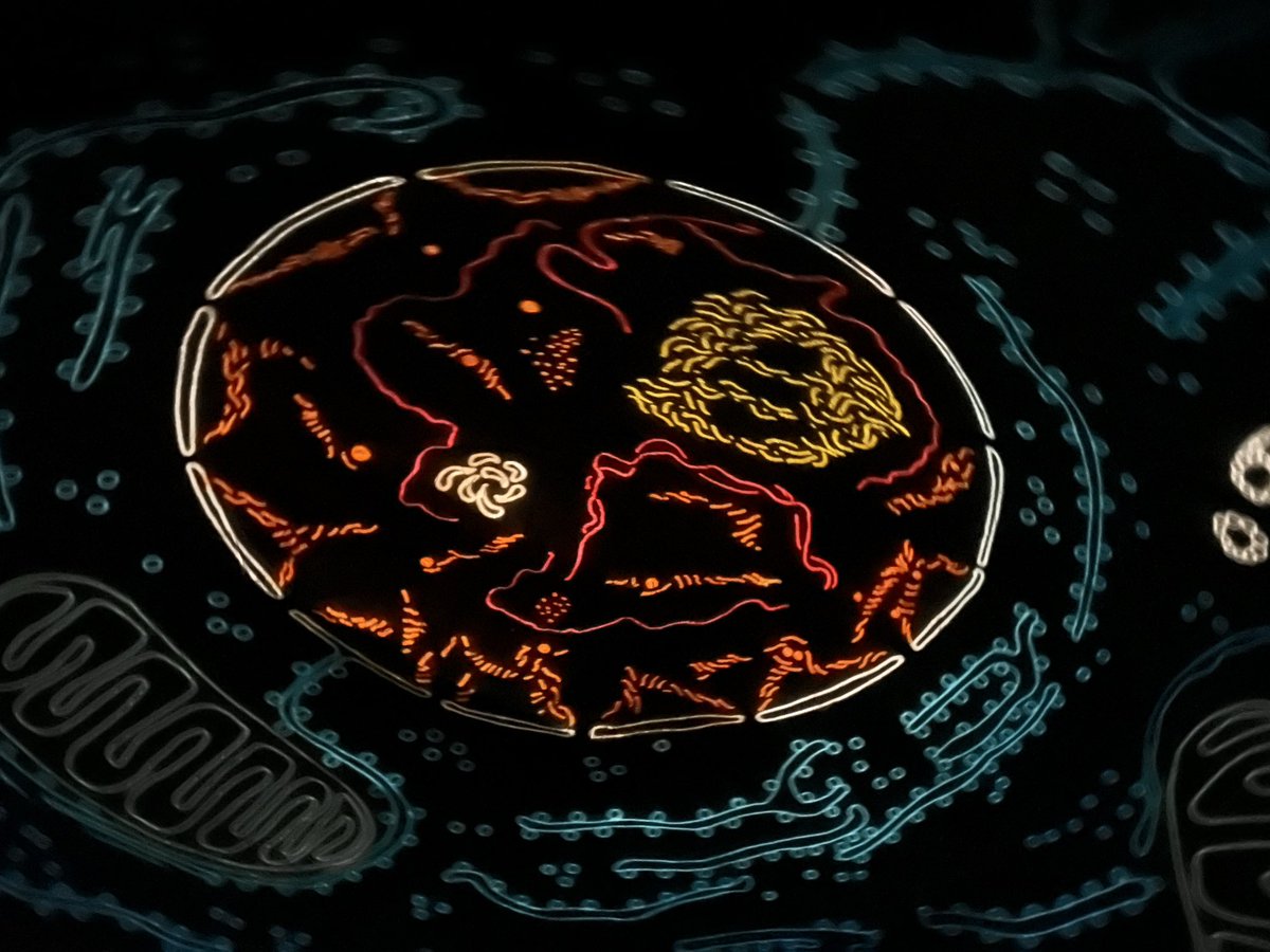 RickLapi's tweet image. Using the #starlab to experience and understand the cell. Tks Mrs. Snyder for bringing science to life for your 10th graders. @govmifflinsd #mifflinsd #TExpL