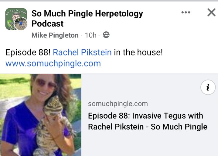 So honored to be an invited guest on the best herp podcast around! Thank Mike Pingleton for the opportunity & fun‼️😀 #tegulizard #invasivespecies #Conservation #podcast 🦎🦎🦎#Herpetology Listen 👂 now⬇️⬇️⬇️ somuchpingle.com/?fbclid=IwAR39…