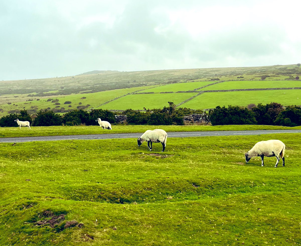 Oxleas Quality Management Team tweet media