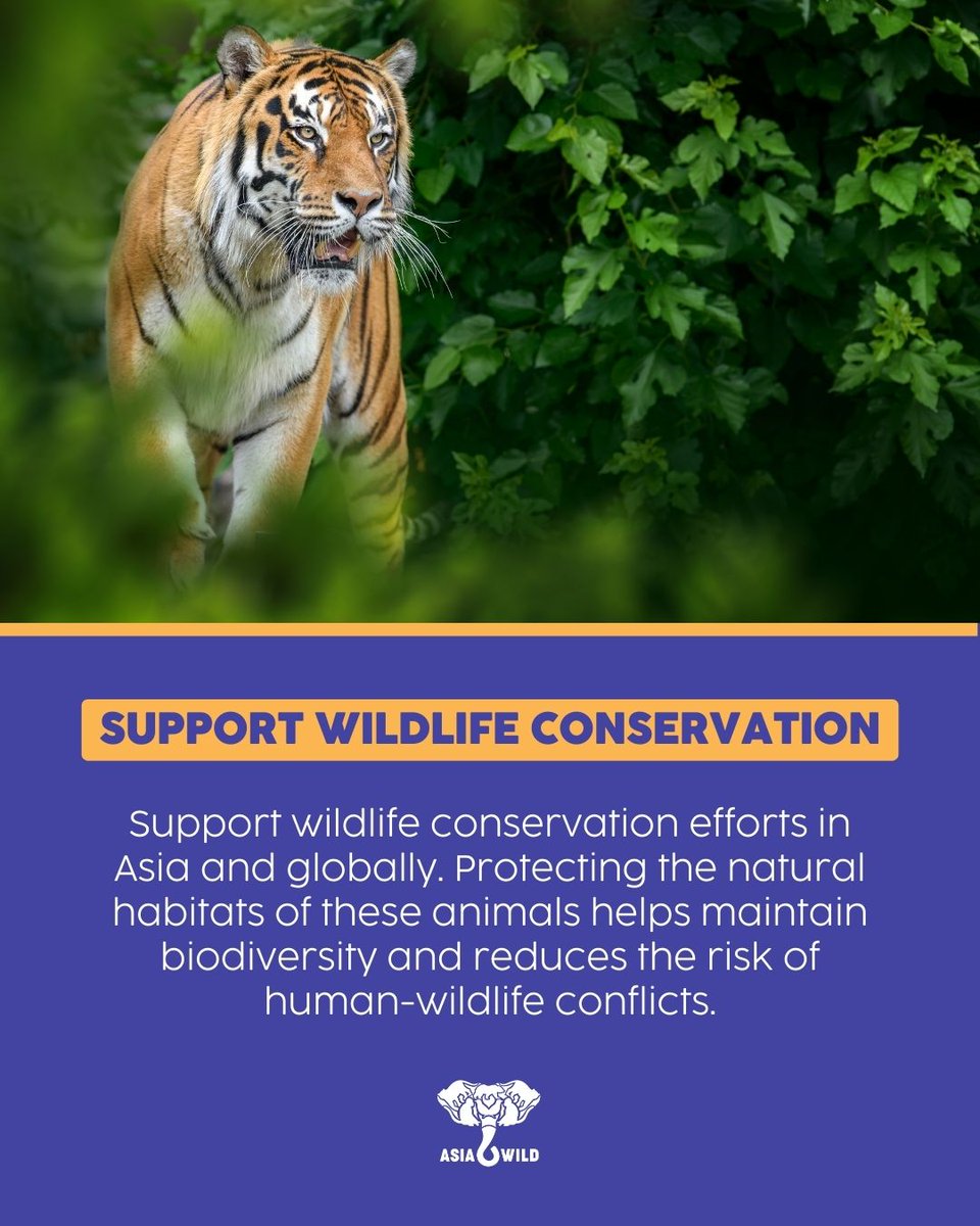 🌏 This #WorldRabiesDay, let’s talk about the importance of respecting wildlife & taking precautions to prevent the spread of rabies. 🦠 Lear

Support wildlife conservation & education. Learn more: ow.ly/cHeG50PQcvK 💚

#RabiesPrevention #RabiesAwareness