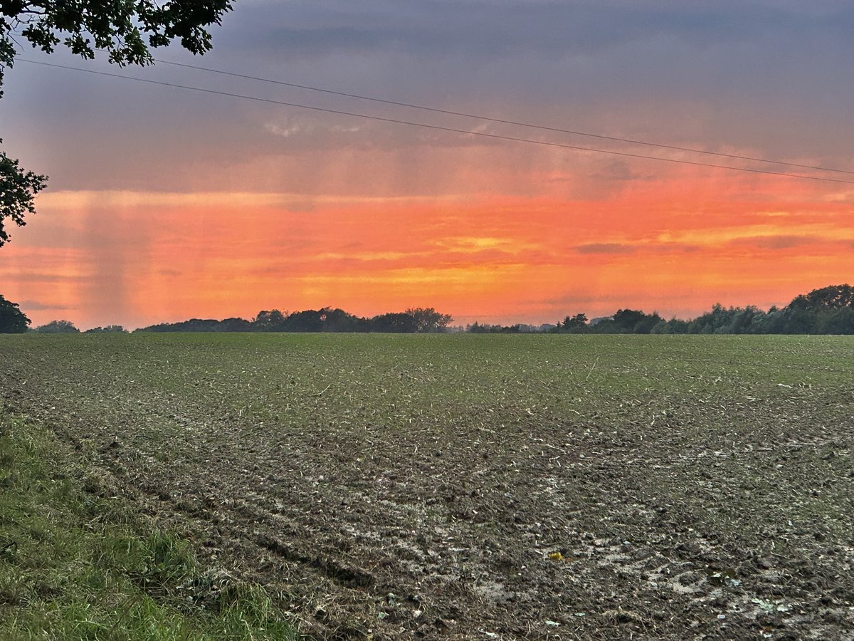 anita jane bullen tweet media