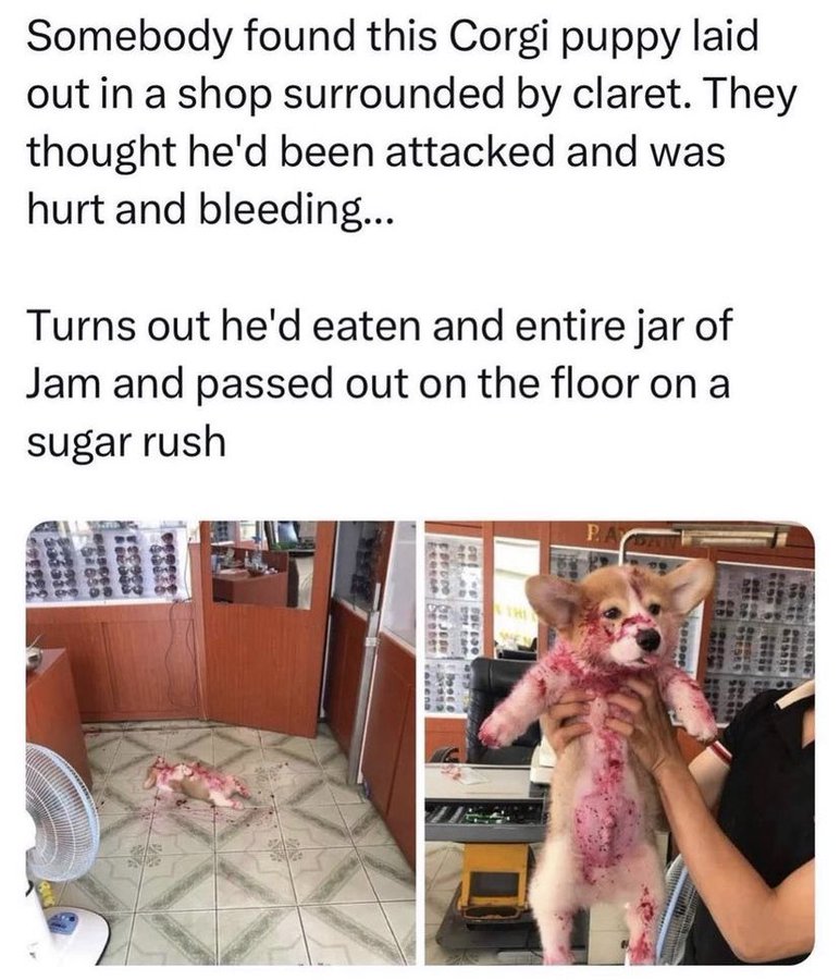 Respectful Memes (@respectfulmemes) on Twitter photo 