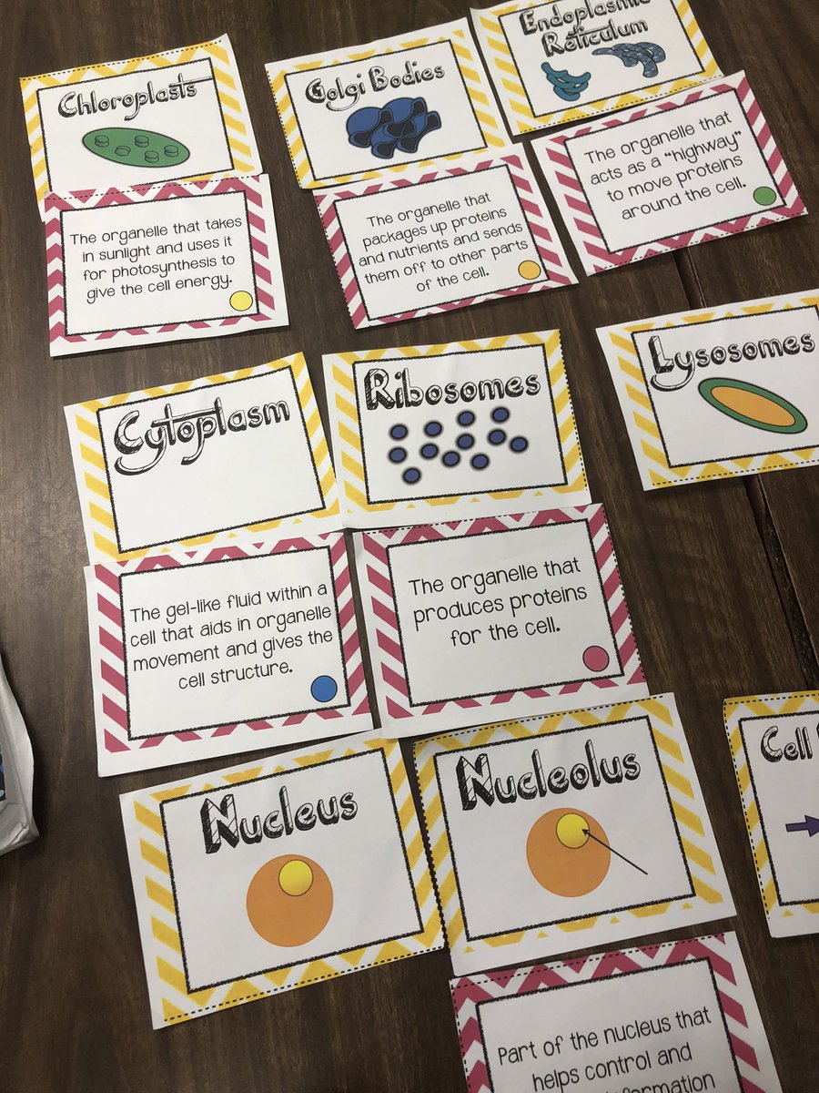 pbj4ua's tweet photo. 7th grade science Vocabulary Word Sort station with chloroplast, Golgi bodies, ribosomes, cytoplasm, endoplasmic reticulum, nucleus, cell wall, etc… #AMSTIworks https://t.co/eVgGDHNQjn