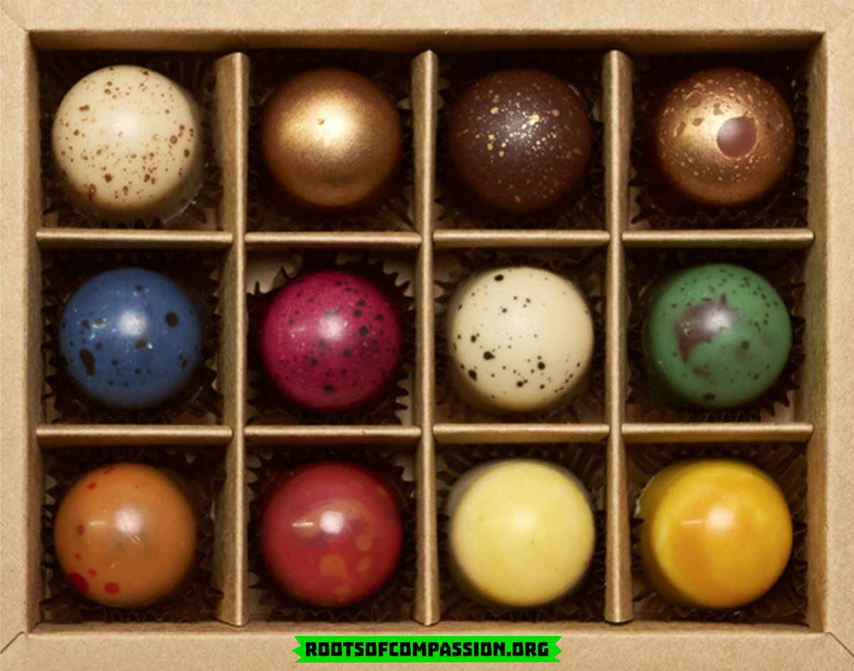 die wunderschönen veganen Pralinen sind wieder am Start 😊

rootsofcompassion.org/vegane-pralinen