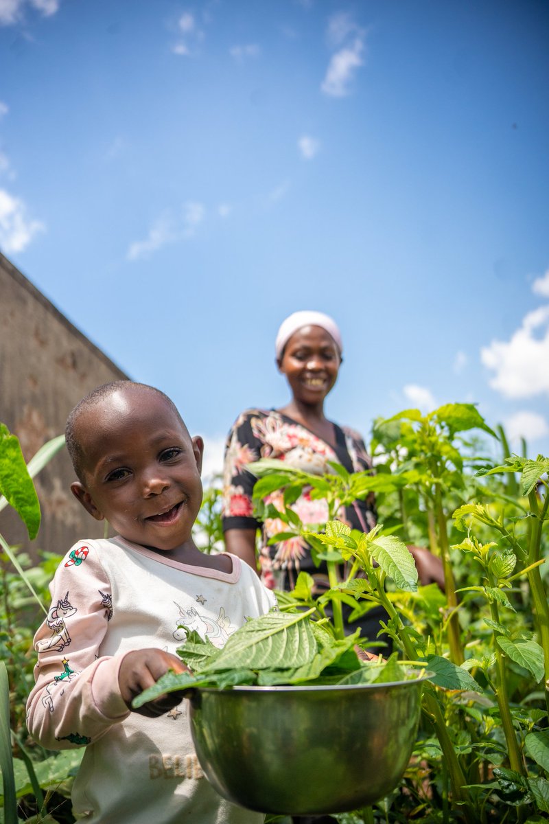 PaulineOkumu's tweet photo. Nutrition is the bedrock of a child's future. World Vision is committed to tackling malnutrition head-on.Through our programmes &amp; partnerships,we provide vital nutrition support to vulnerable communities,ensuring children grow up healthy,strong &amp; ready to thrive. https://t.co/oIKEEecN65