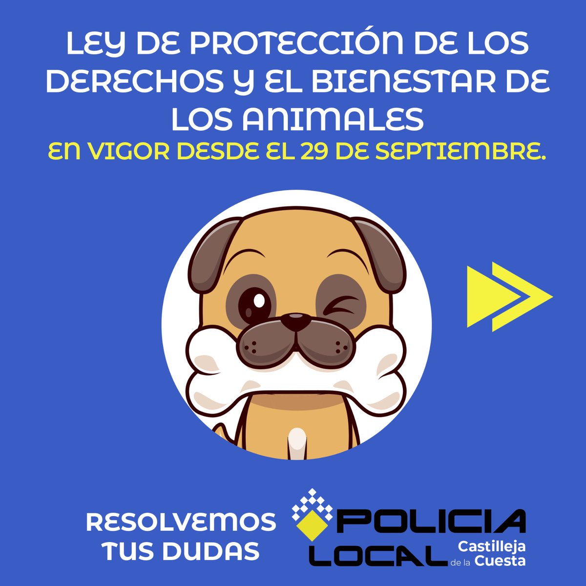 CastillejaCta's tweet photo. ☝🏻Mañana entra en vigor la nueva #Ley de protección de los derechos y el bienestar de los #animales

🧐 Si tienes #mascota 🐶🐈‍⬛, ojo a lo que explica en este vídeo la @PoliciaLocalcc, sobre las obligaciones que establece la norma 👇🔎
https://t.co/DM3lO83rDV https://t.co/MLAZ2DACEI