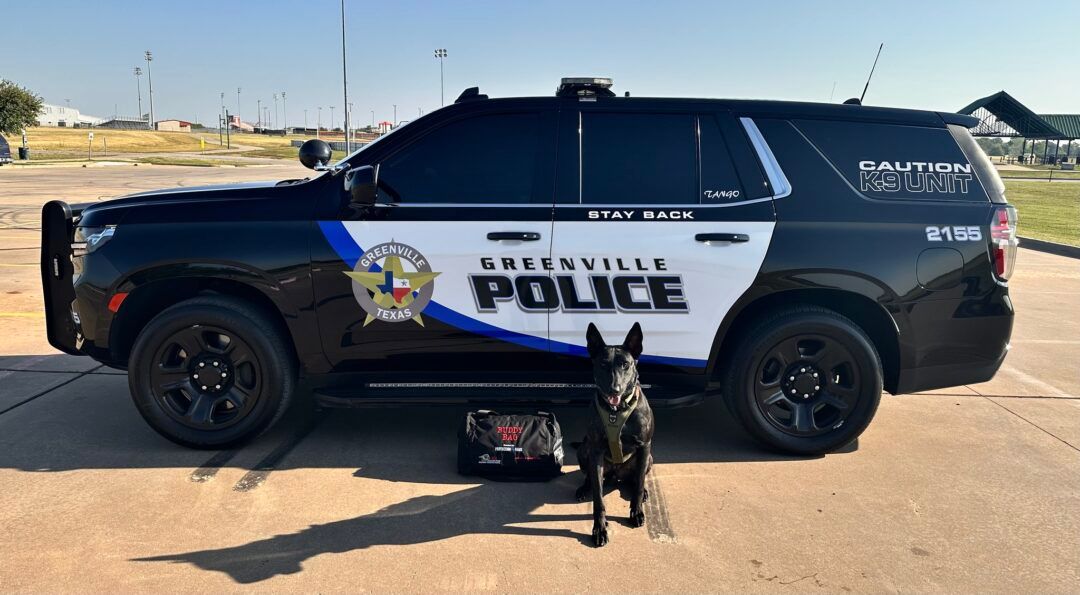 greenvilleextra's tweet photo. K9 Tango from the Greenville PD was awarded a K9 Medical Kit || Learn how you can help https://t.co/fLCN7yBhDy https://t.co/PdkudnYzgD https://t.co/4aquFxC7yJ