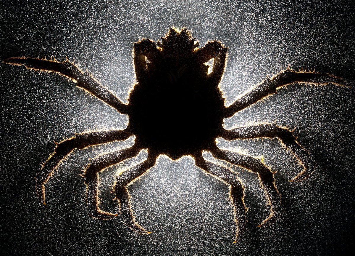 Changemaker Talent tweet media