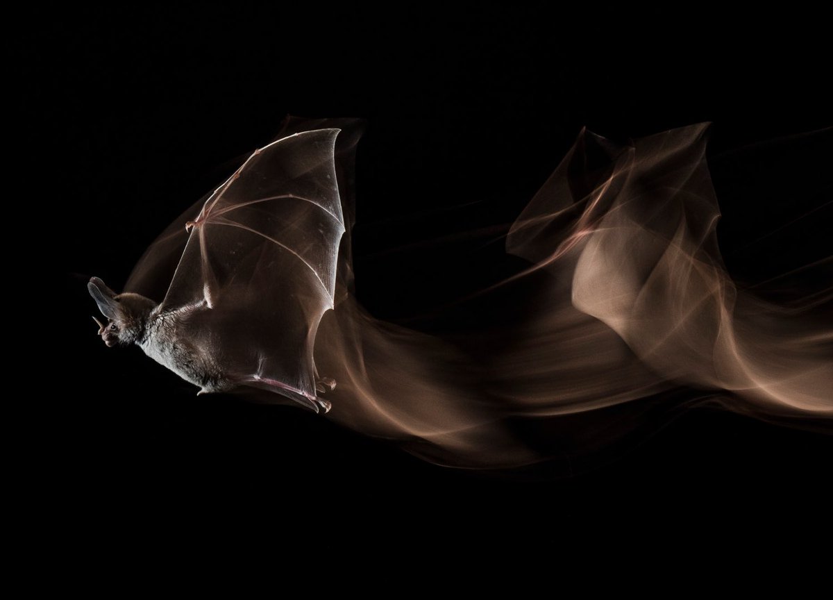 Changemaker Talent tweet media