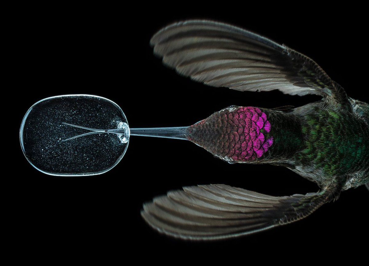 Changemaker Talent tweet media