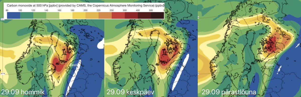 Kairo Kiitsak tweet media