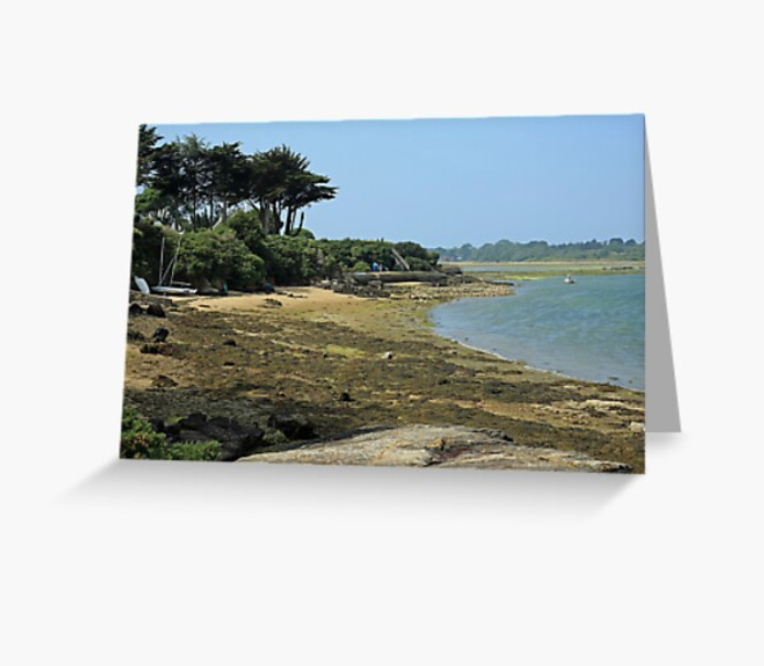 travelphotouk's tweet photo. Beach at low tide on the Pointe du Logeo on Presqu'ile du Rhuys. Now available on #redbubble, one of my images from my summer walking trip around the #golfedumorbihan in #brittany, France.

https://t.co/Ka58SZDMxA

#gr34 #longdistancewalk #pilgrim https://t.co/Yx8FWjKFlF