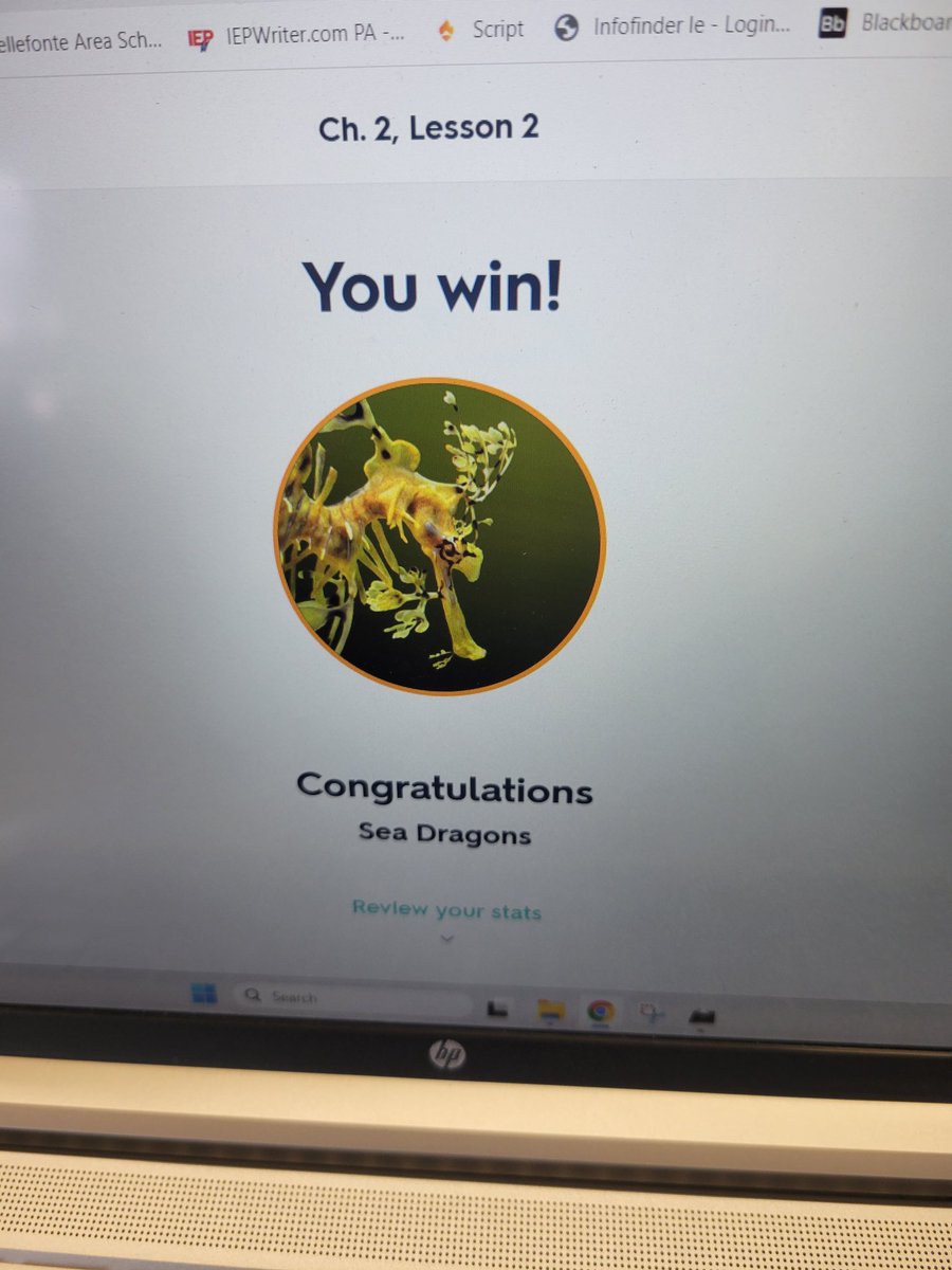 Mrs. Bucha's classes played several fun review games yesterday about citizenship and civics. The students had fun!