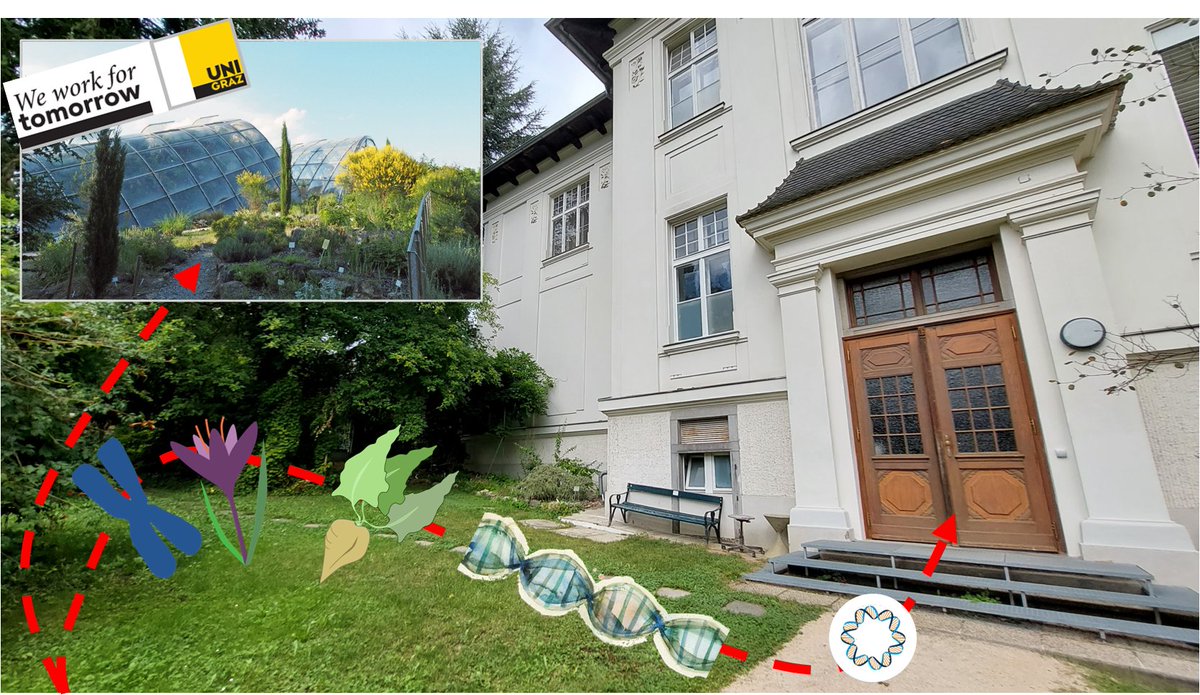 Tony Heitkam 🌱🔍💚 (left this site for 🟦🦋) tweet media