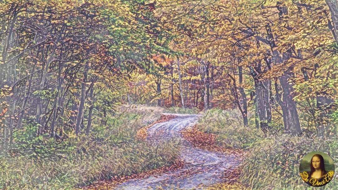 Traders_NFT's tweet photo. @cryptokelley Happy Birthday to you.  Walk the road less traveled. https://t.co/7FqOJnPXTa