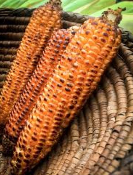 CmCuty's tweet photo. Roasted or cooked corn https://t.co/nSd21r9A2E