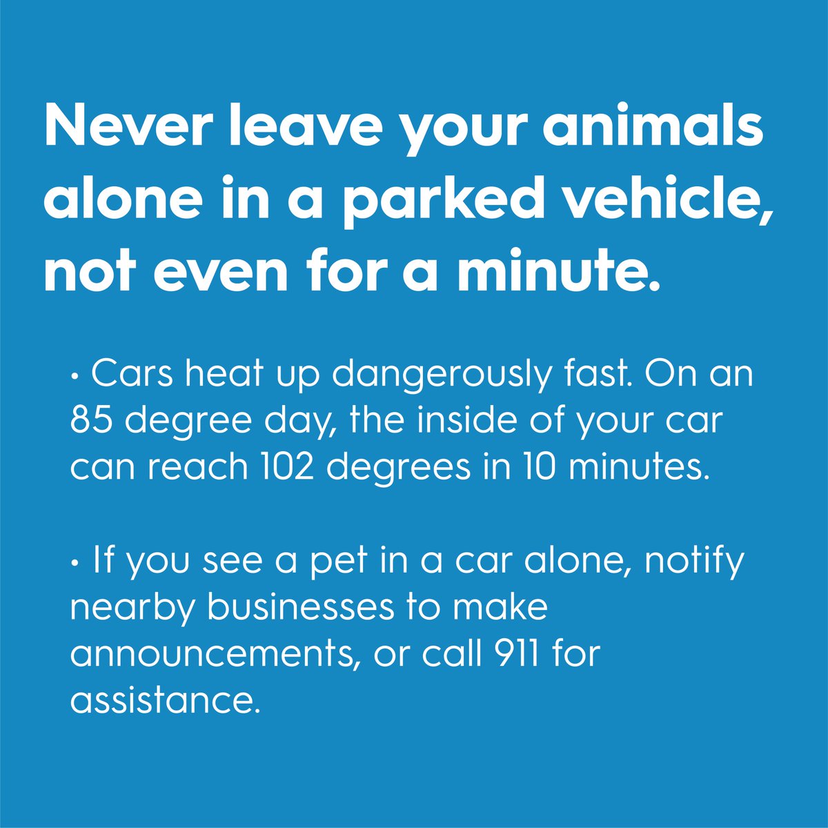 Keep your furry friend happy and healthy by taking extra care of them during extremely hot days. You can follow this easy rule: if you wouldn’t be happy, your pet wouldn’t like it either! #HeatSafeLA #HeatRelief4LA