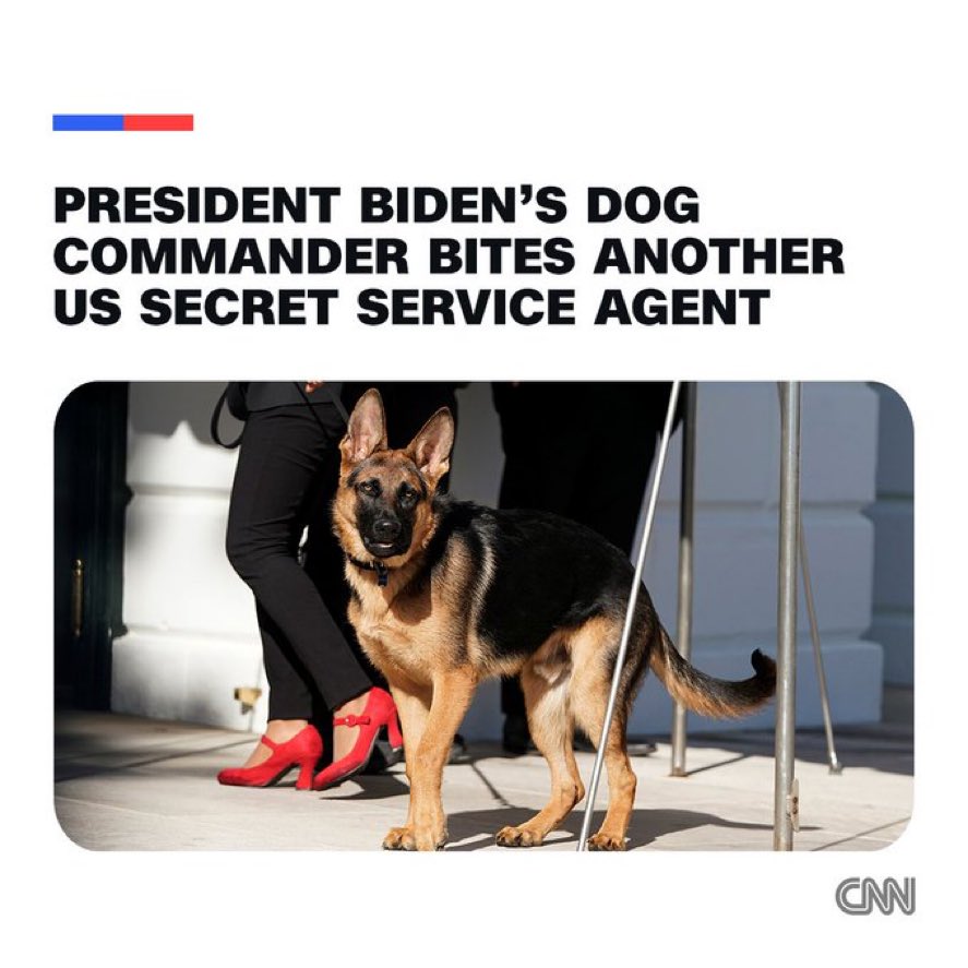 MelissaJPeltier's tweet image. Were they the same Secret Service agents who scrubbed their January 6th messages?