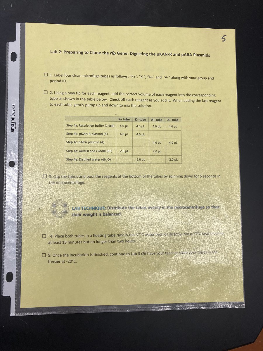 ABEProgOffice's tweet photo. Tips from our ABE lab techs! Consider using a procedure checklist with teachers and students. They can easily use a dry erase marker to check off the steps they have completed! #ABElabtech23 #GBW23 @Amgen https://t.co/WFTaTroN4q