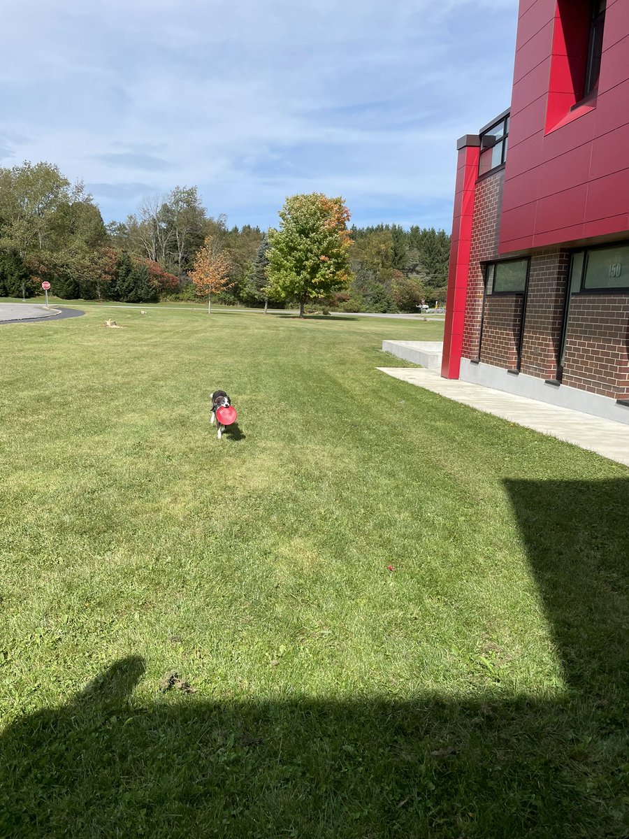 Maya Amico tweet media