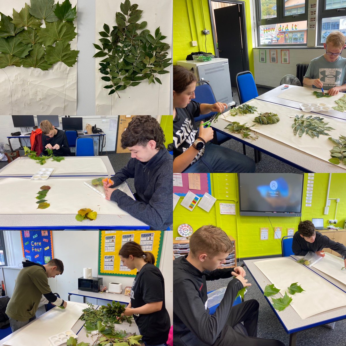YsgolHenFelin's tweet image. We have been Identifying British trees 🌳 for our DofE Gold and Leadership group. We are then using the leaves 🍃 to create art work. We are developing this by looking at the positive impact trees have on our environment  🌎 #dfe #outdoorlearning #ALN #environment